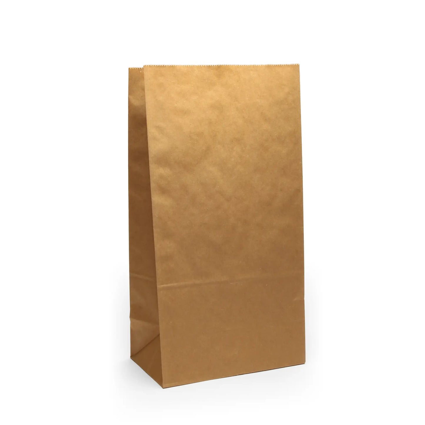 #12 Brown Paper Bag